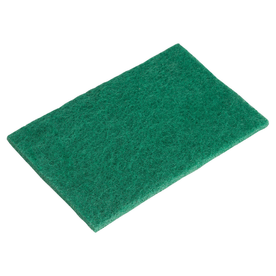 SP-96N Nylon Scouring Pads, 6-Pieces/Pack