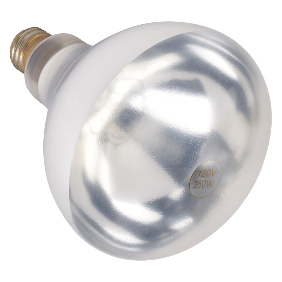 EHL-BW Shatter-Resistant Bulb, 250W, Clear